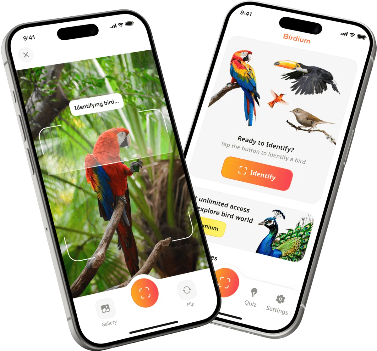 Bird Identifier by Photo