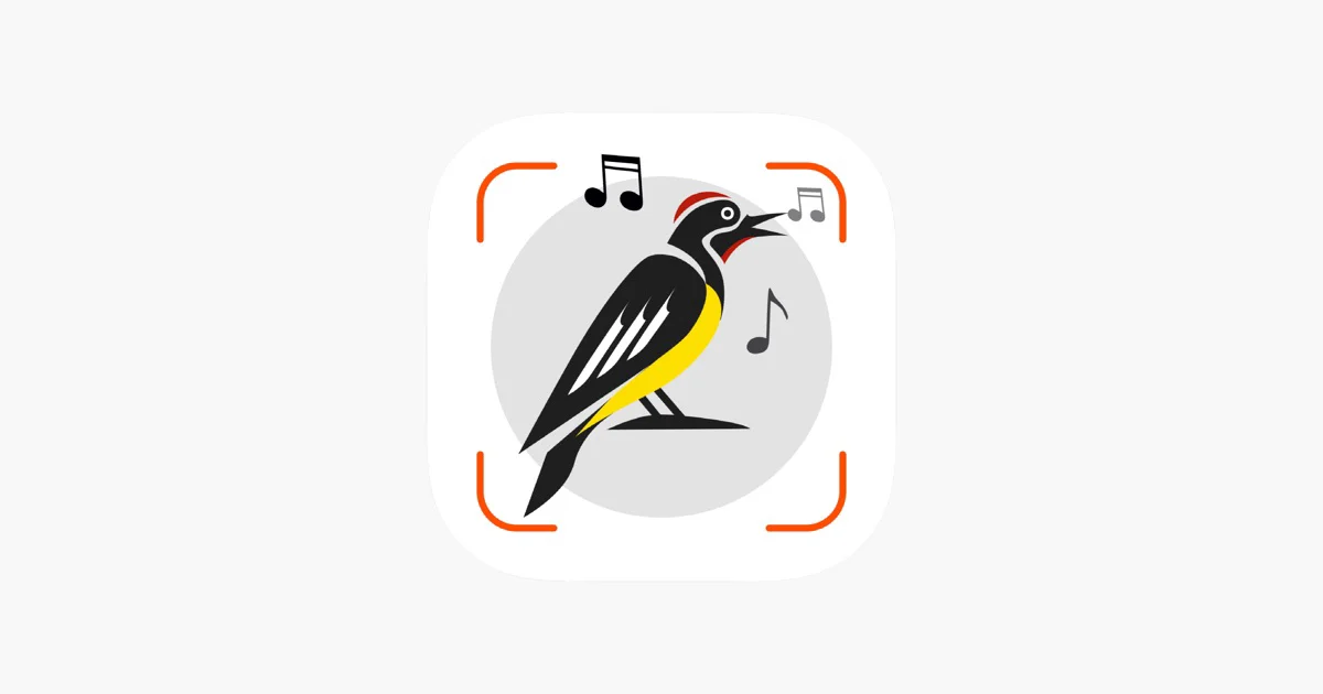 Bird Sounds Identifier Call ID