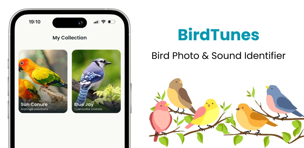 BirdTunes
