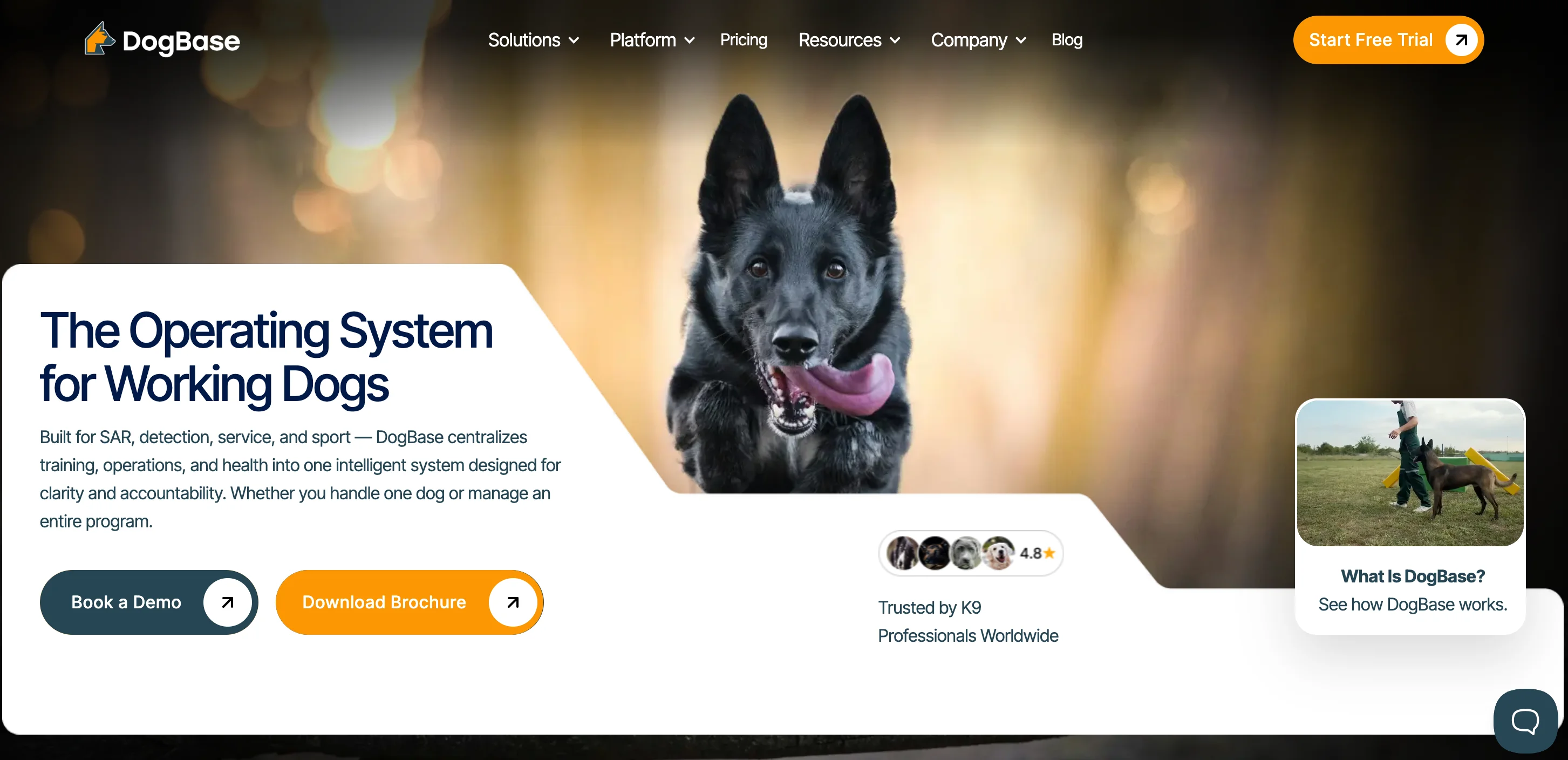 DogBase