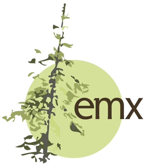 EcoMetrix Solutions