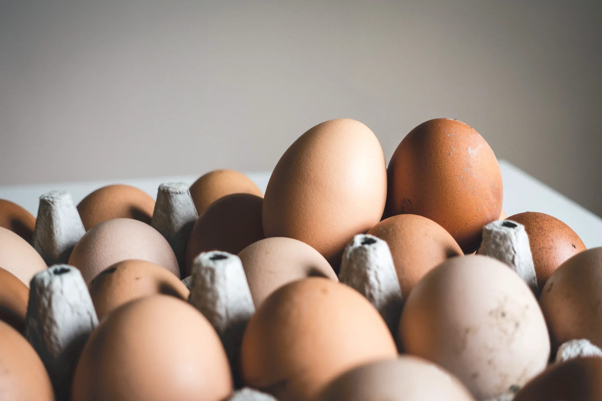 eggXYt