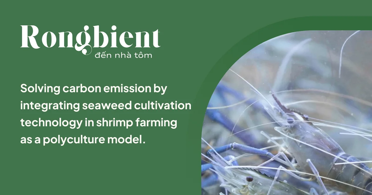Rongbient Biotech