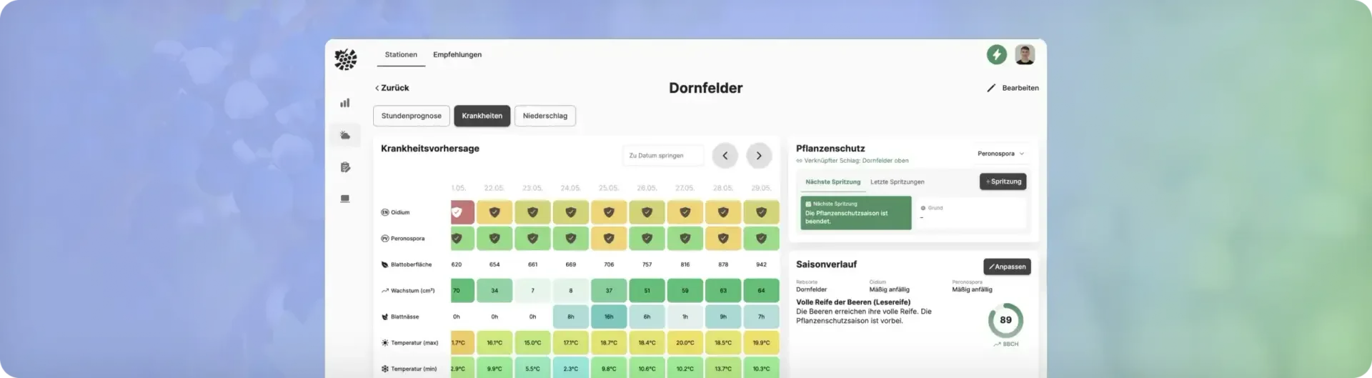 VineForecast