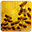 Apiary Book