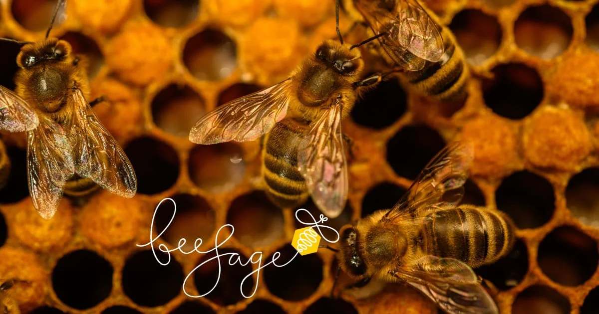 BeeSage