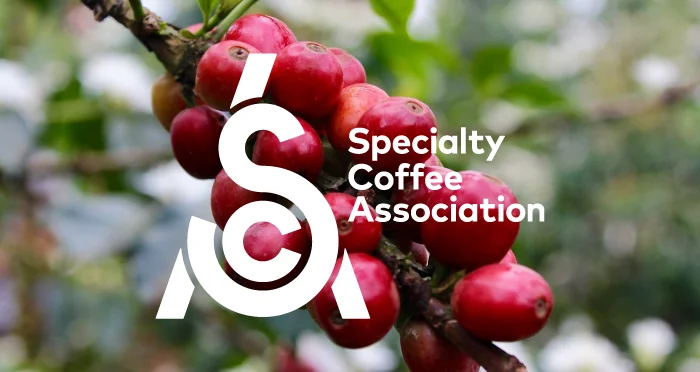 Coffee Value Assessment (CVA) Cupping Score Calculator