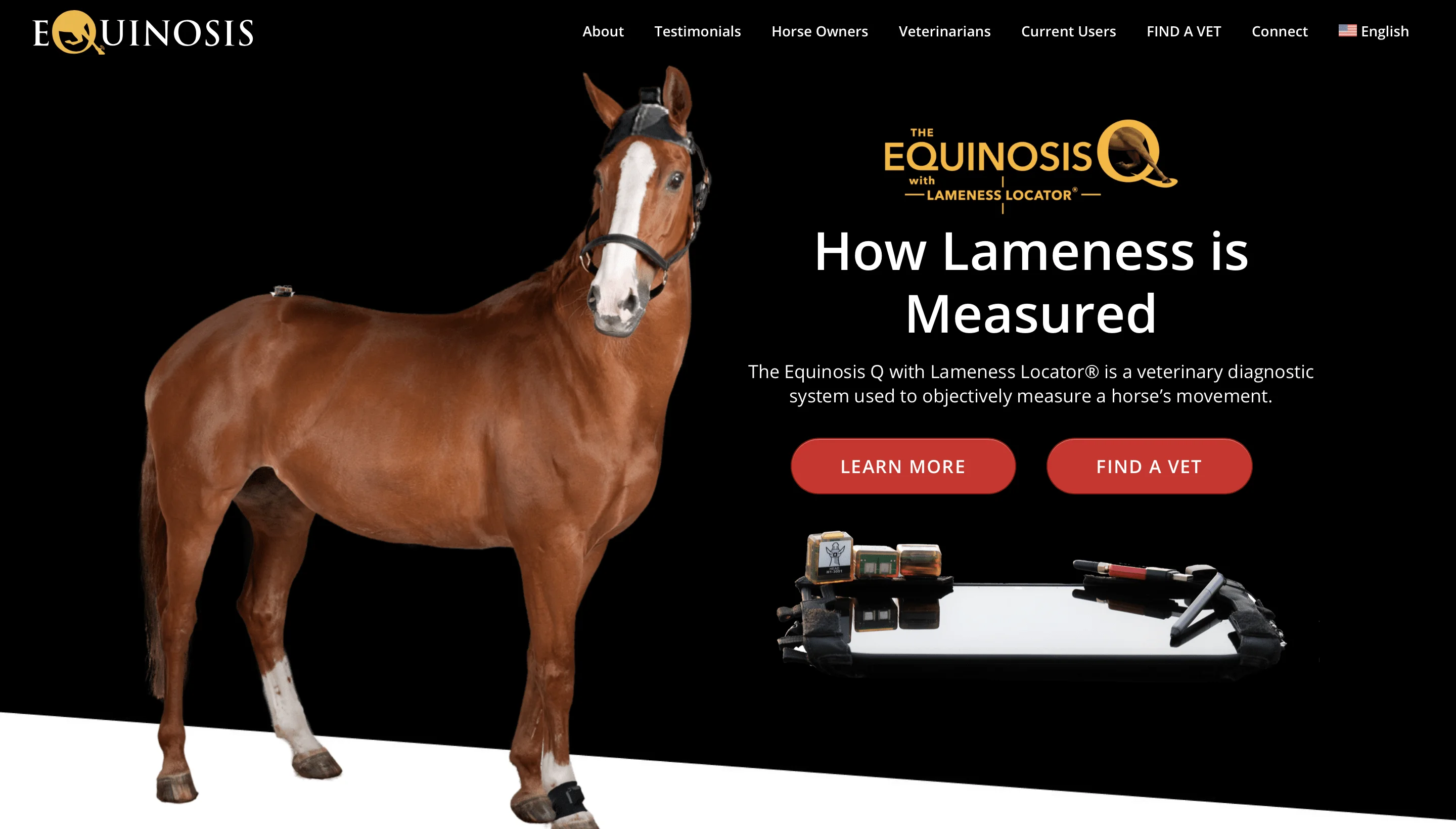 Equinosis