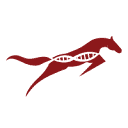 Etalon Equine Genetics