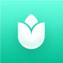 Cactus Identifier