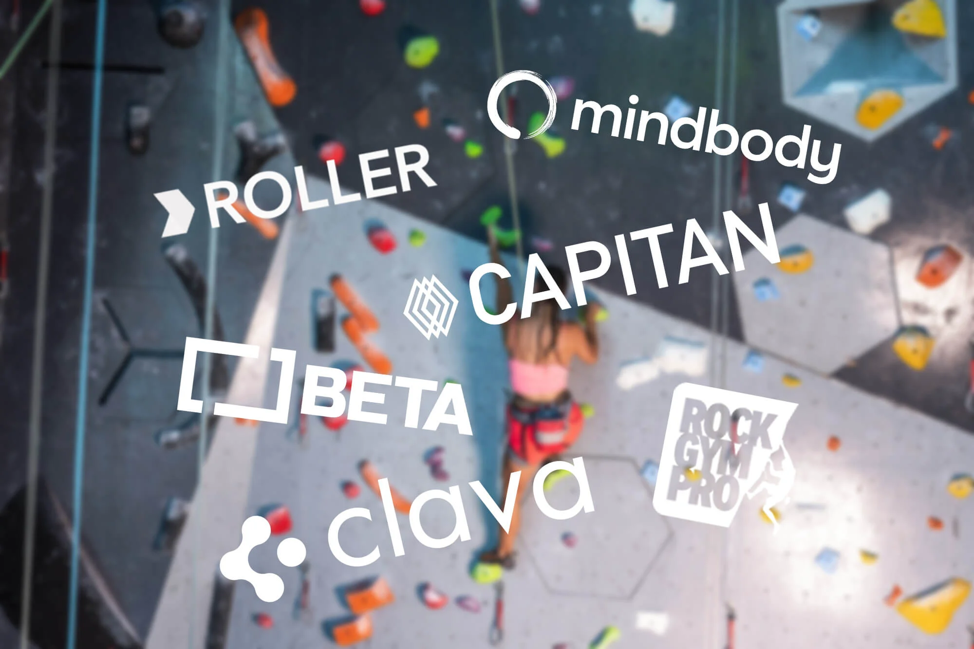 Climbing Gym Software Market Overview