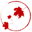 Falling Leaves Kung Fu