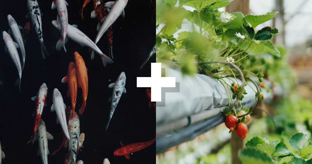 FarmHub