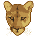 Felidae Conservation Fund