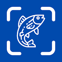 Fish Identifier App