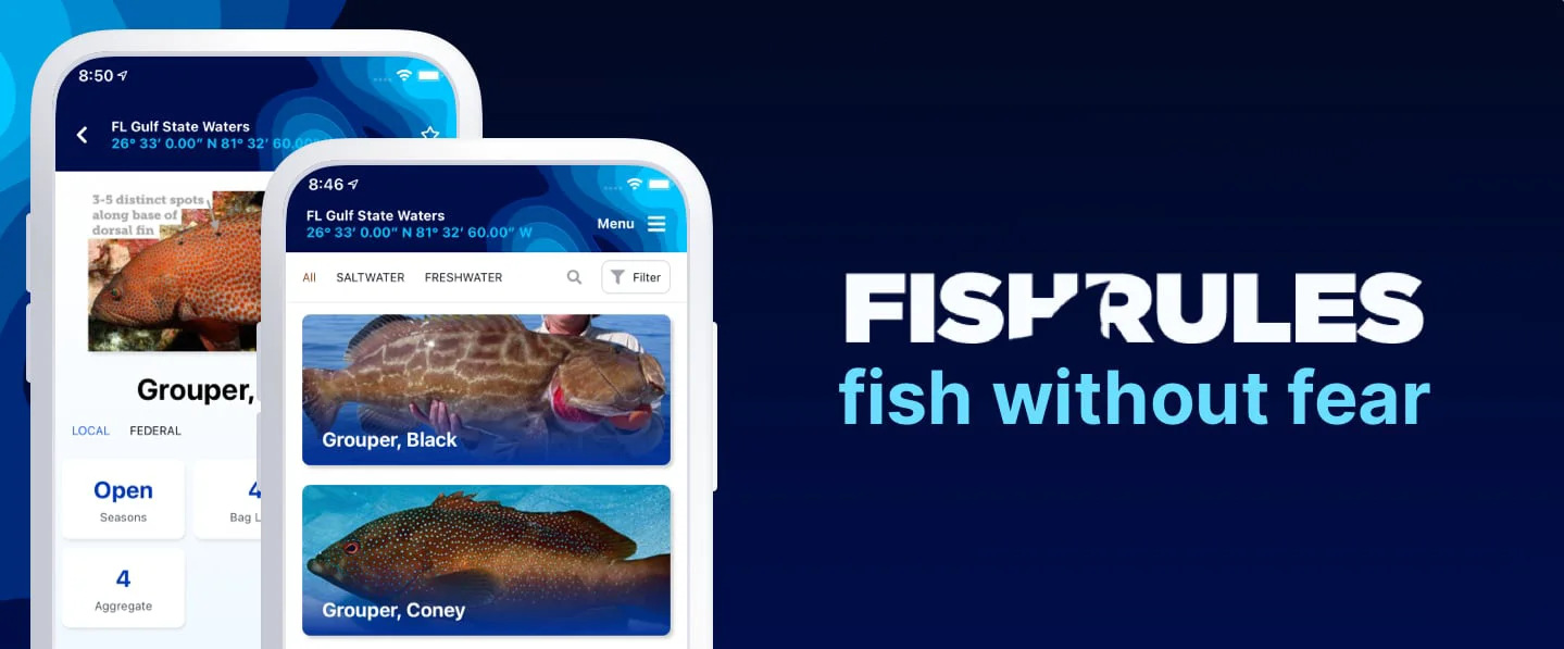 Fish Rules