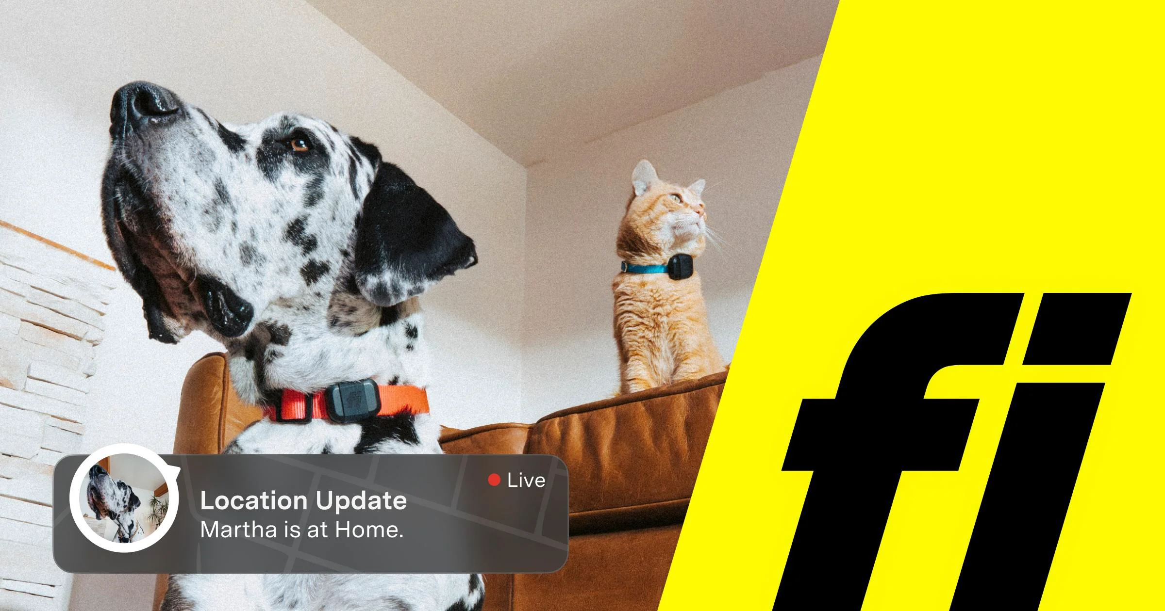 Fi Smart Collar