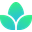 Florasense (Flora)