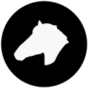 Focus Horse