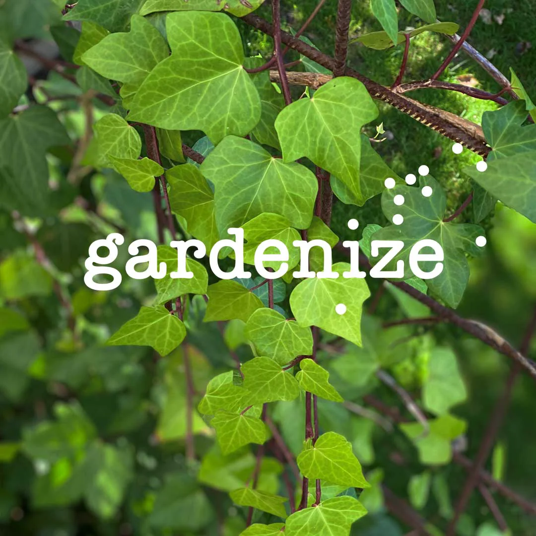 Gardenize