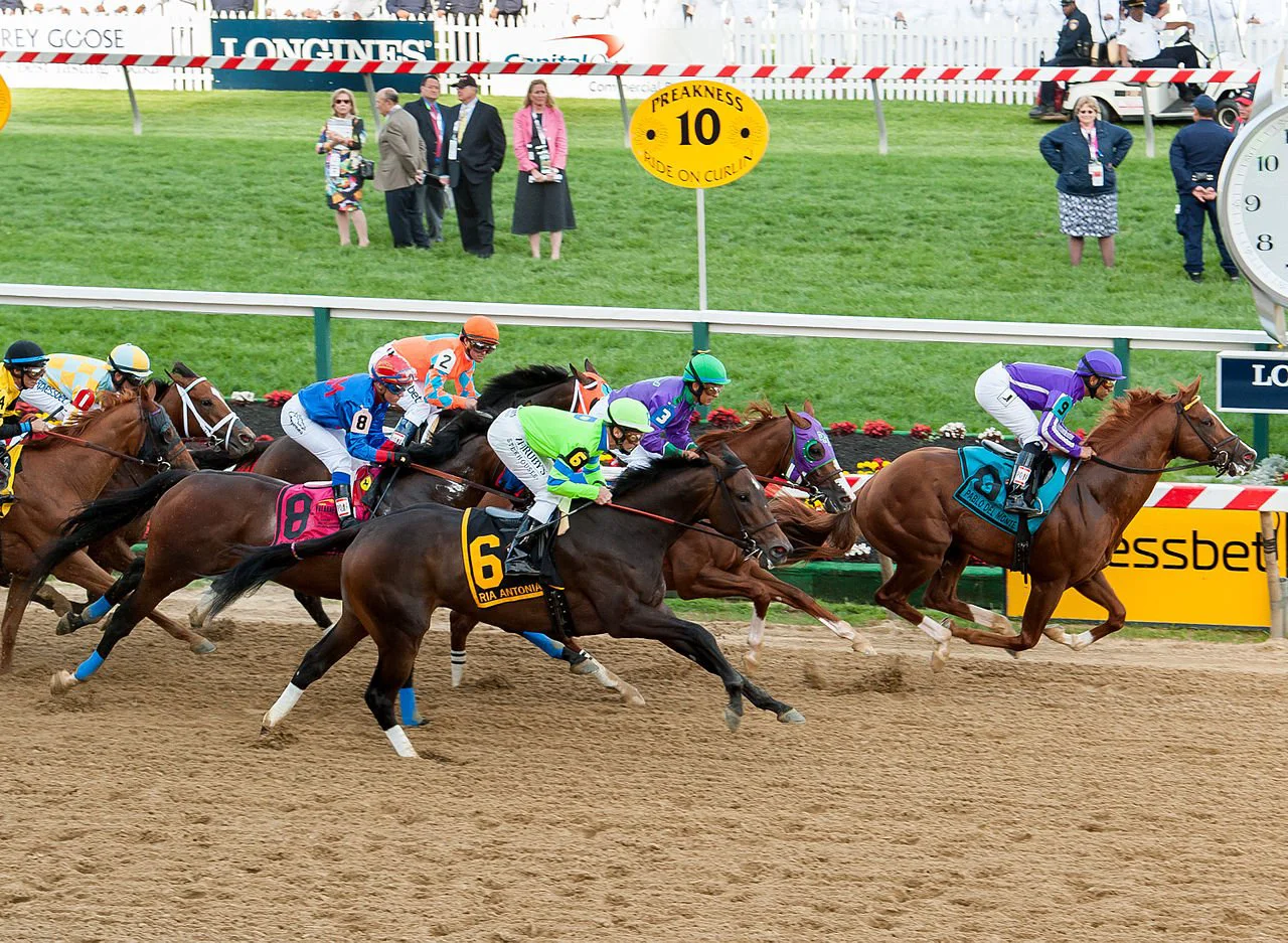 Horse Race Ready