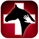 Horse Side Vet Guide