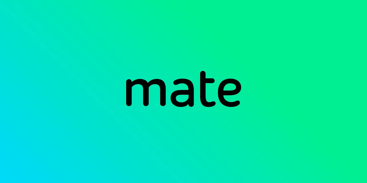 Mate Translator