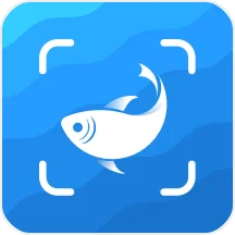 Picture Fish