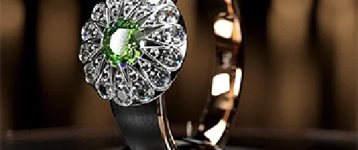 Rhino for Jewelry
