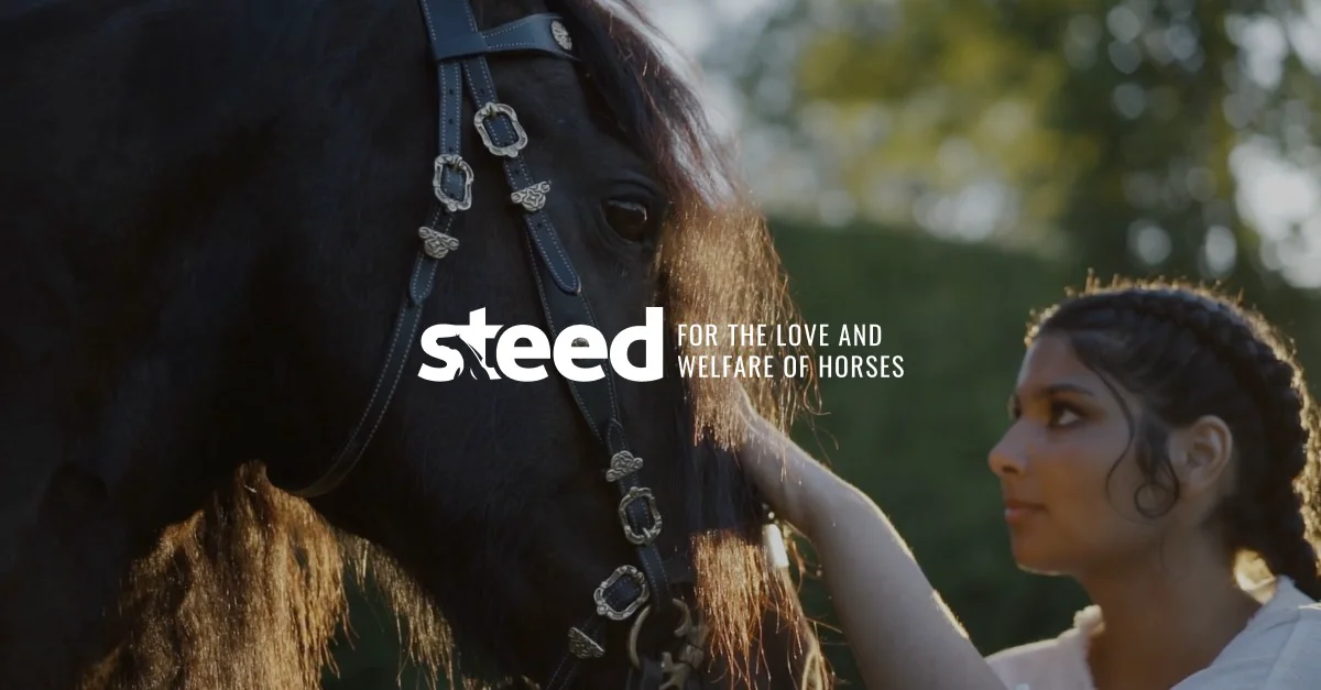 Steed EMS