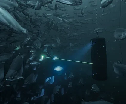 Stingray Marine Solutions