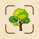 Tree Identifier