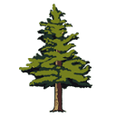 Trees for a Change