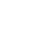 Verve AI