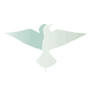 Birdingplaces Europe