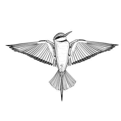 Birdingplaces Europe