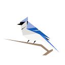 BirdNET Analyzer