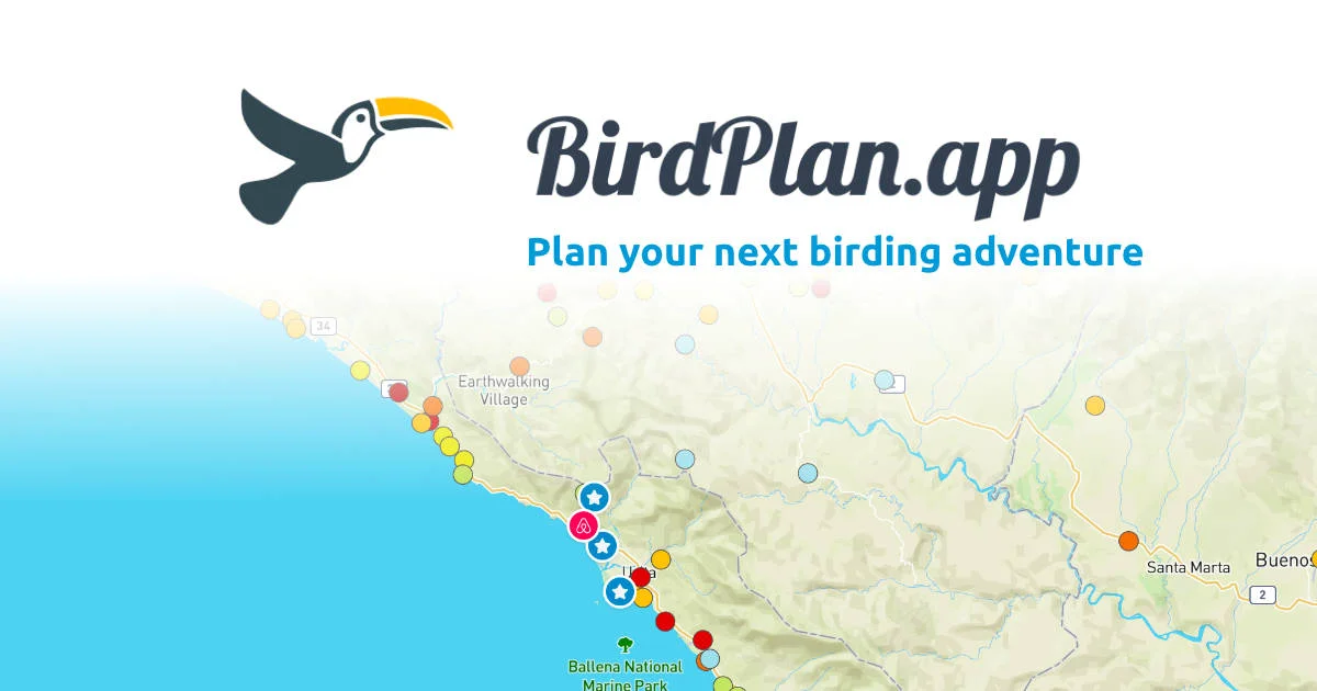 BirdPlan