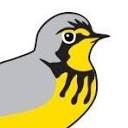 Birds Canada