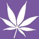 Cannabis Handler Classes