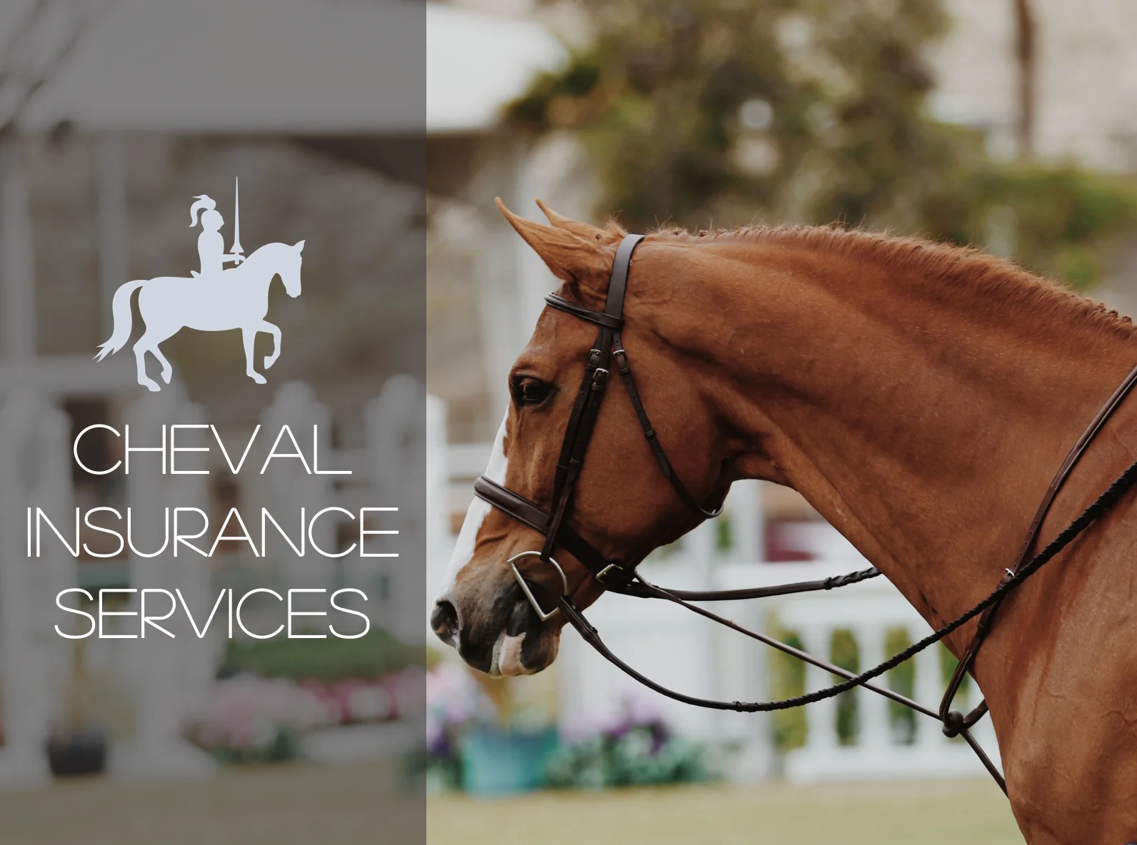 Cheval Insurance