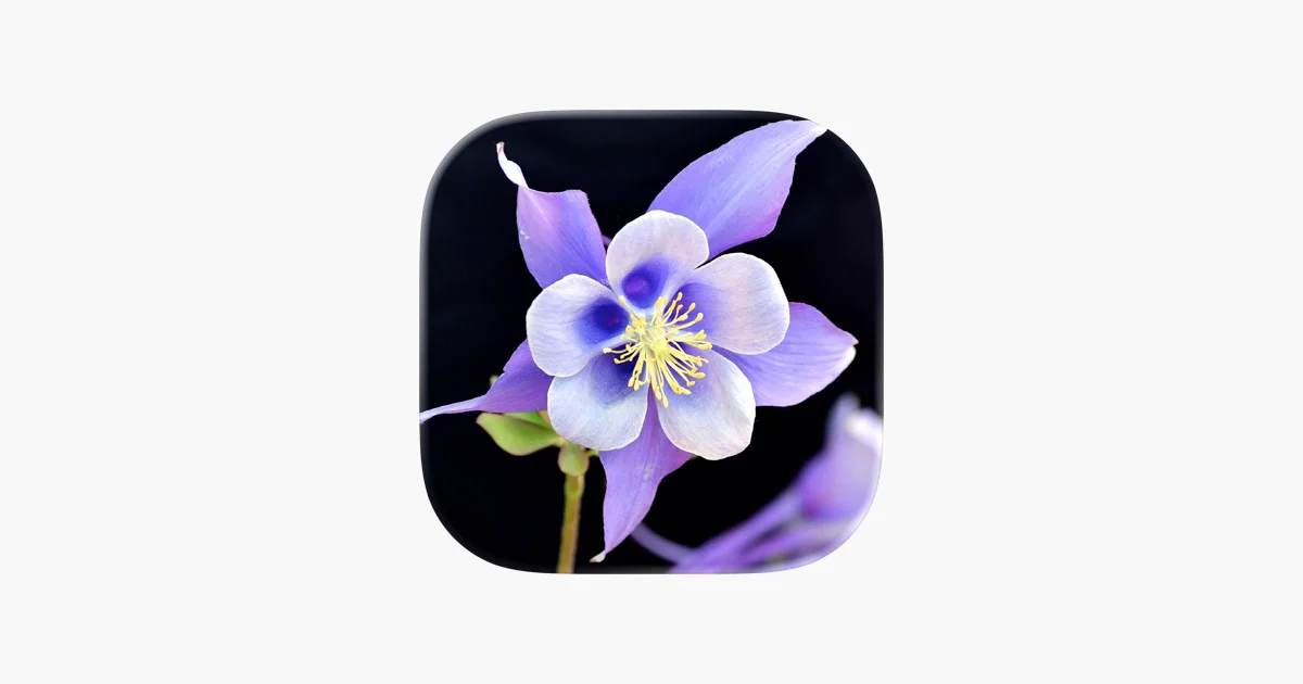 Colorado Wildflower Search