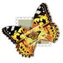 County Stamp Center