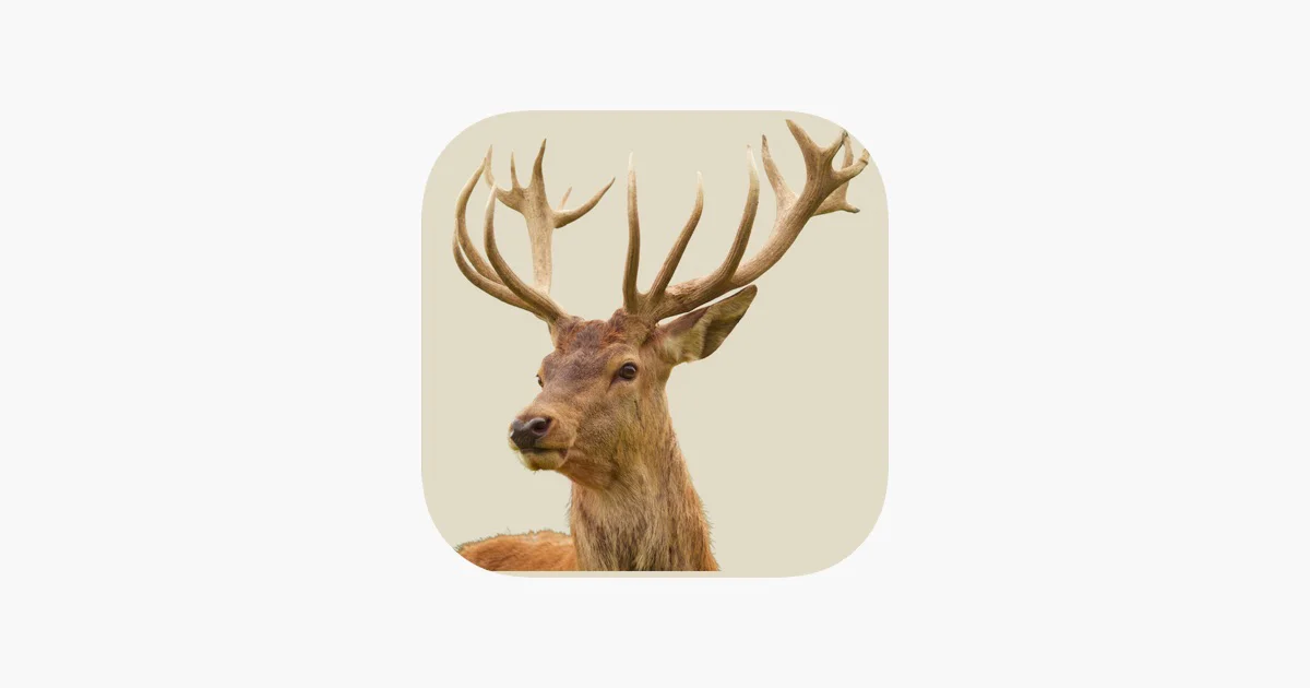 Deer Camp Diaries