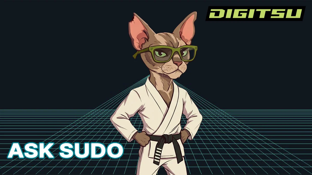 Digitsu AI Chatbot (Sudo)