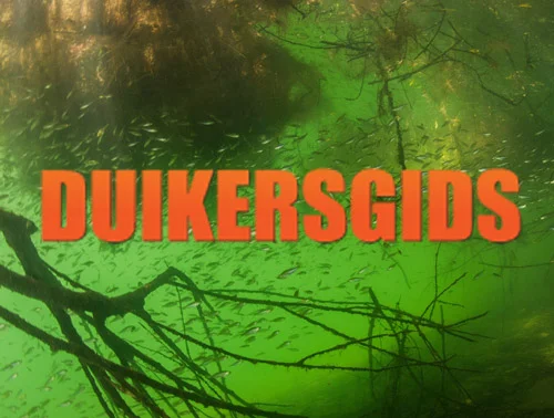 Divers Guide App