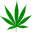 DopeCFO