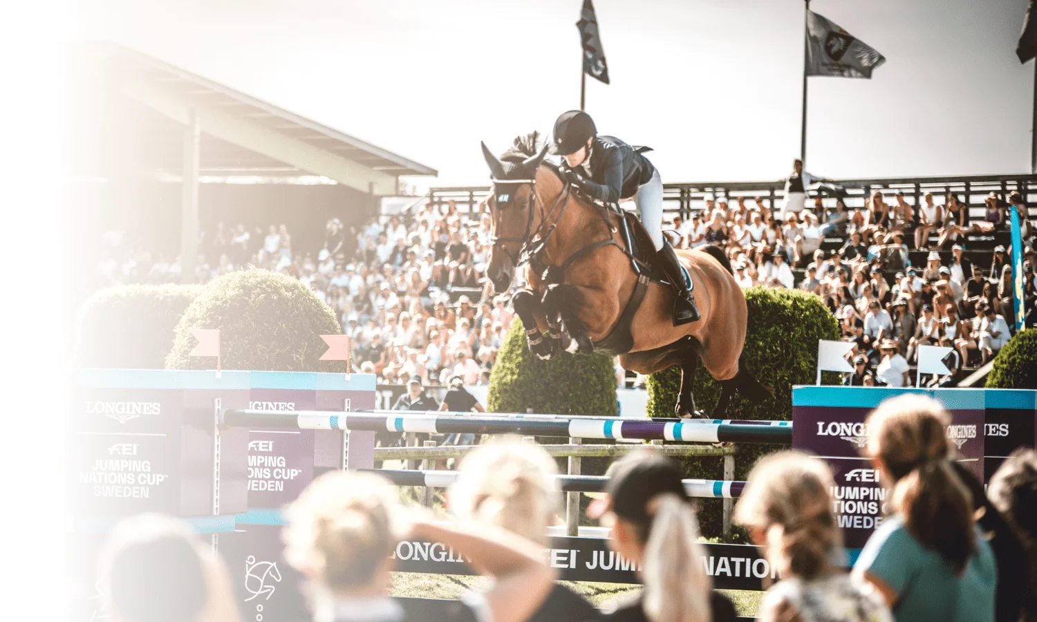EQuerry