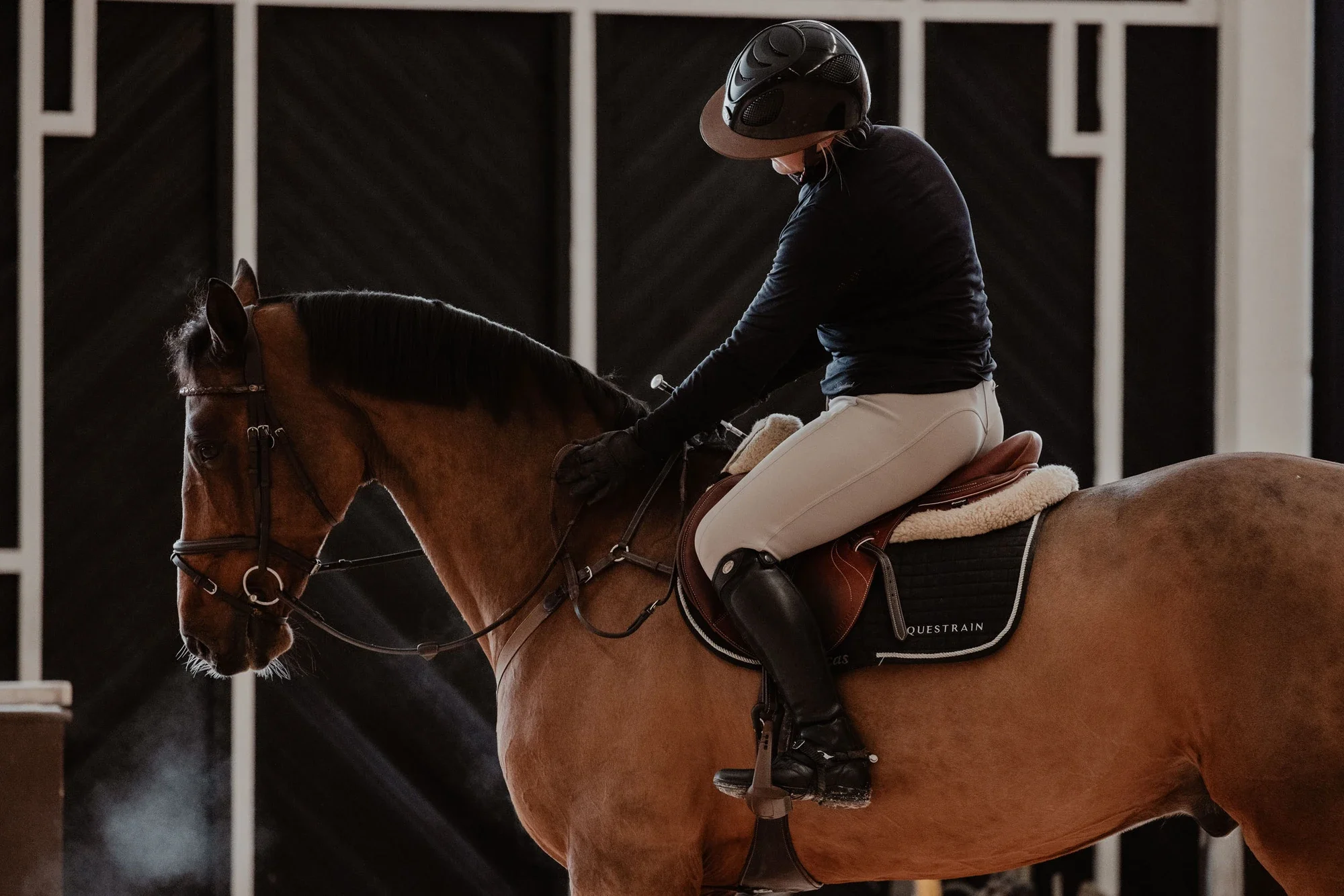 Equestrain