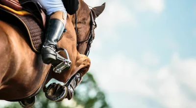 EquiTrace